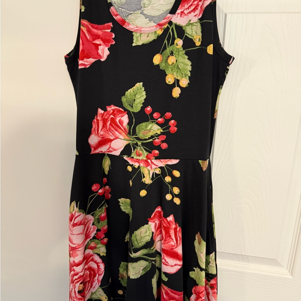 LuLaRoe floral Nicki sleeveless dress